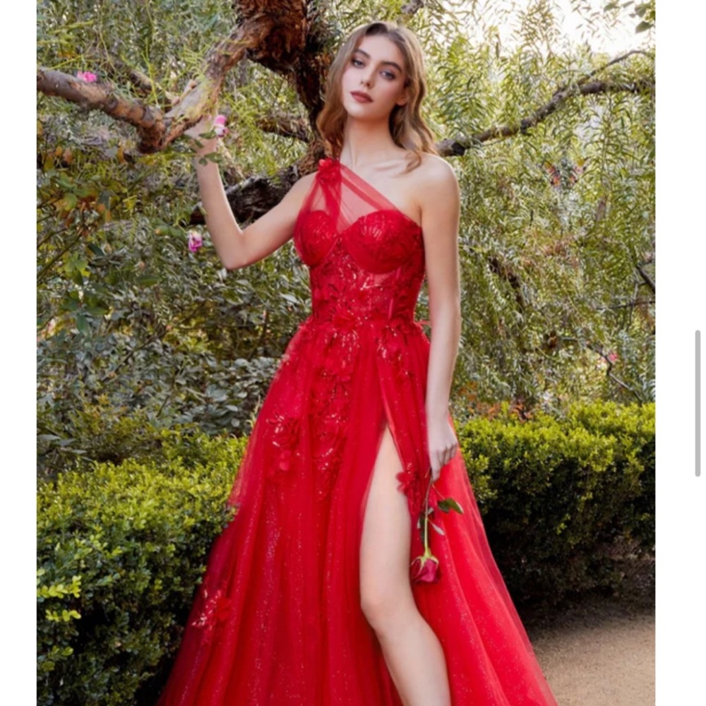 NWT Andrea and Leo Couture gowns in red! Sizes 6&8